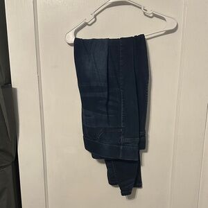 Lane Bryant Dark Navy Skinny Jeans